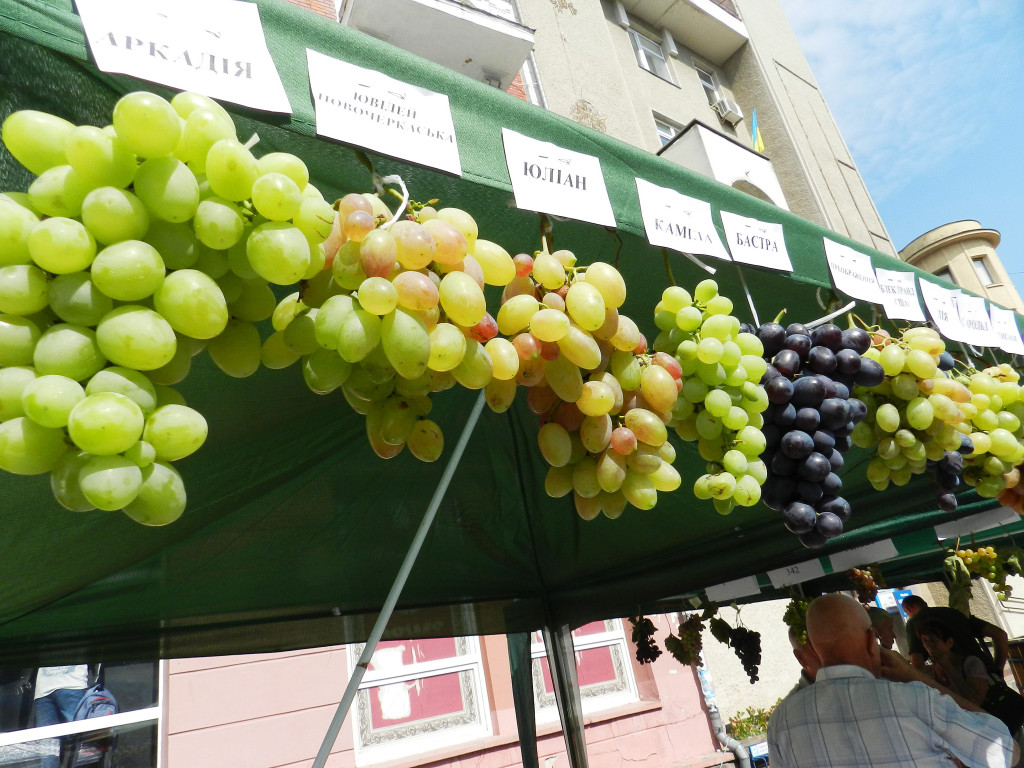 ivano-frankivski festival